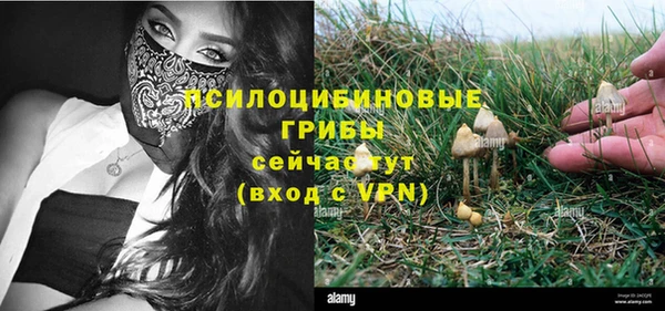 метадон Армянск