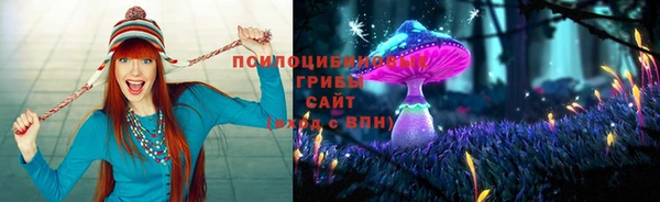 амф Нягань