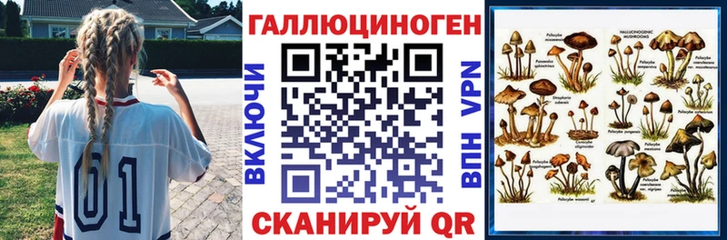 mega ONION Оха Псилоцибиновые грибы Cubensis
