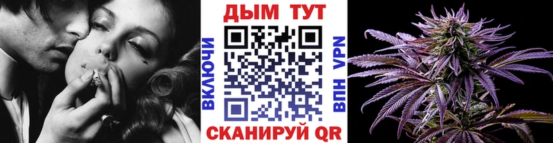 Каннабис конопля Оха